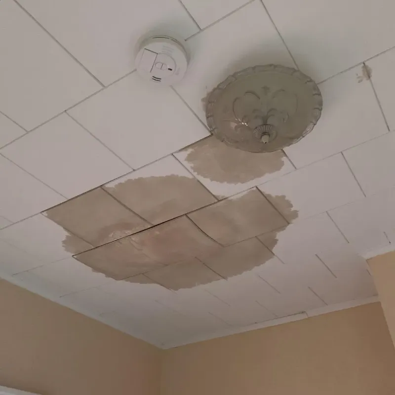 Ceiling Water Damage Repair in Reidsville, GA