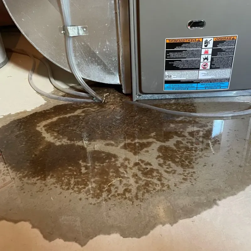 Pipe Burst and Leak Restoration in Reidsville, GA