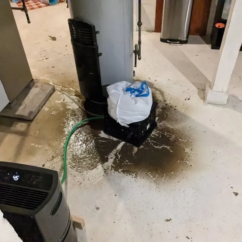 Sewage Backup Cleanup Service in Reidsville, GA